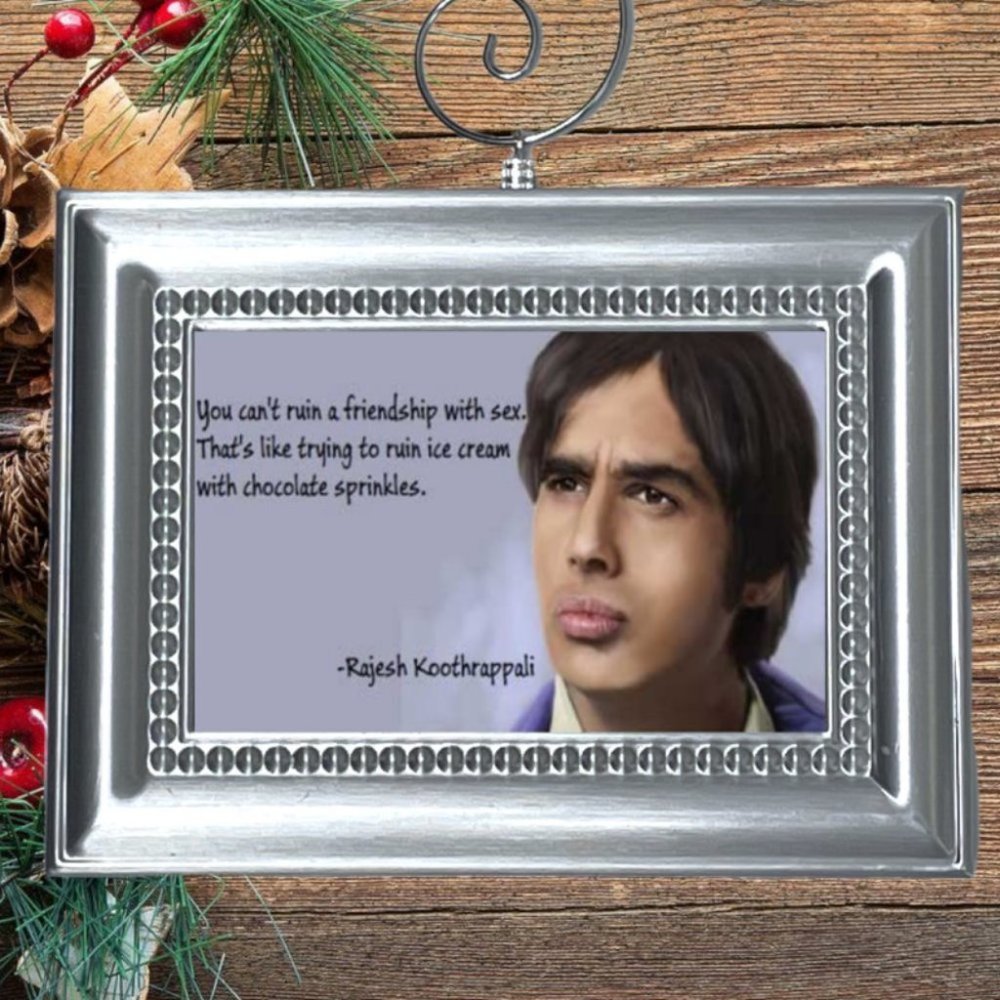 The Big Bang Theory Raj Koothrappali Funny Quote‎ Christmas Tree Ornament